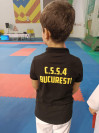 Clubul Sportiv Școlar a obținut 11 medalii la Campionatul Național de Karate Shito-Ryu: 4 de aur, 3 de argint și 4 de bronz Image 1